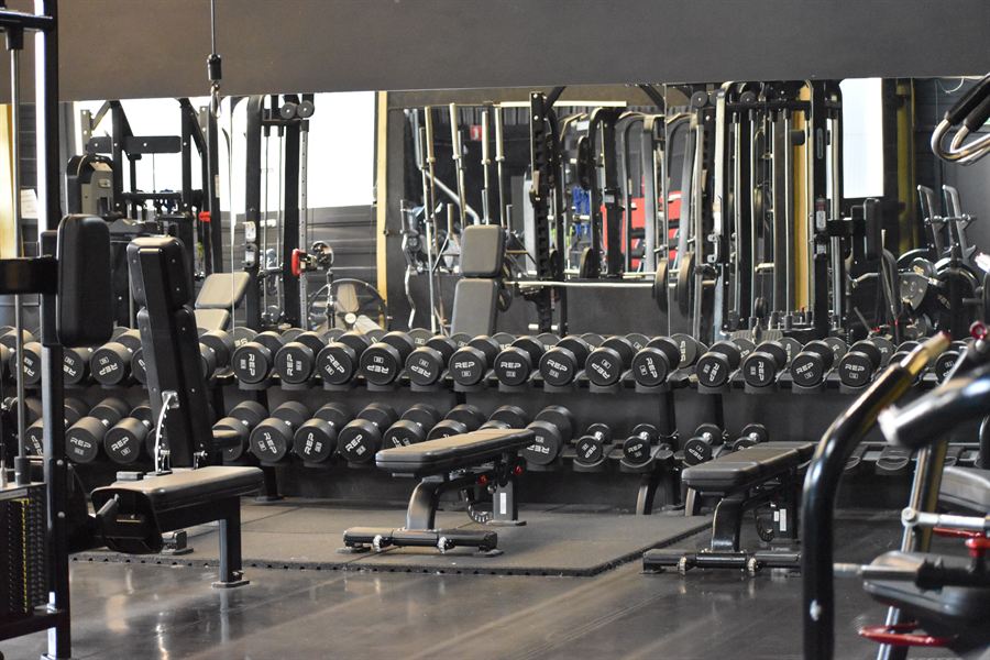 Dumbbells & benches